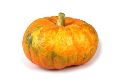 Beyaz bir arkaplanda kabak izole