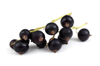 Olgun taze frenk üzümü hasadına yakın.