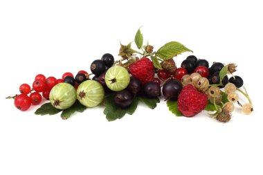 Olgun taze frenk üzümü hasadına yakın.