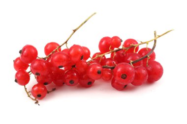 Beyaz arkaplanda kırmızı frenk üzümü var.