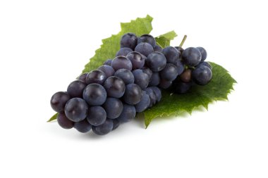 Kırmızı şarap için üzüm çeşitleri