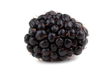 Beyaz arkaplanda Blackberry