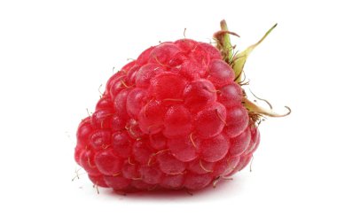 Beyaz arka planda taze organik ahududular