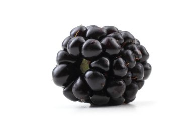 Taze böğürtlen. Kapat..