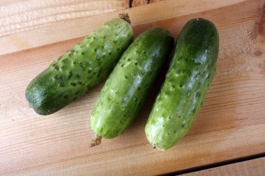 Salatalıklar masaya. Ülke biçimi