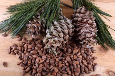 Sedir çam fıstığı masada.