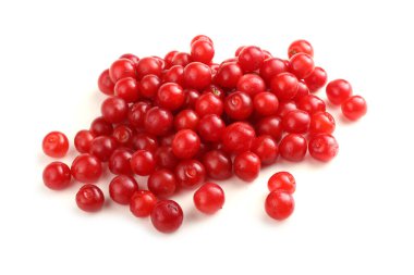 Nanking kirazı beyazda izole edildi