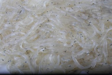 Japon buzbalığı (Salangichthys mikrodonu)