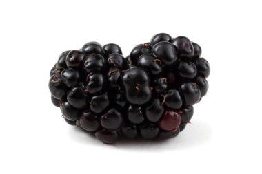 Taze böğürtlen. Kapat..