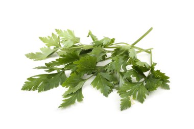 Beyaz arka planda izole edilmiş taze kokulu maydanoz.