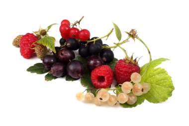 Beyaz arka planda izole edilmiş farklı meyveler