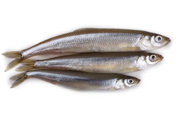 Asyalı eritilmiş balık beyazda izole edilmiş