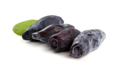 Böğürtlen beyazda izole