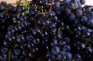 Siyah şarap üzüm arka planı