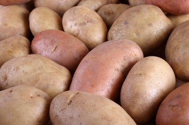 Patates hasadını kapat.