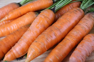 Olgun taze havuçlara yakın dur.