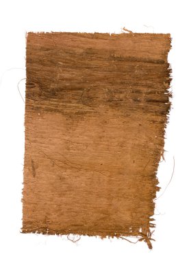 Papirüs beyazı izole etti. Eski Mısır kağıdı