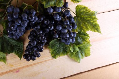 Masada siyah şarap üzümü