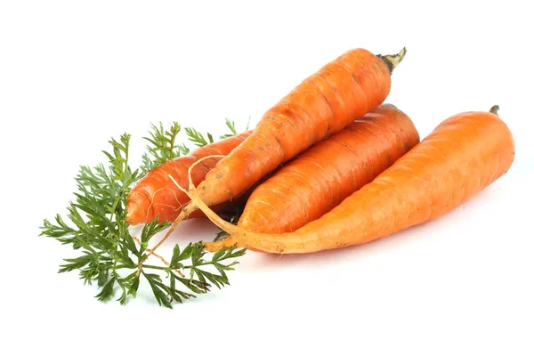 Carrots Leaves Isolated White — Stock Photo, Image