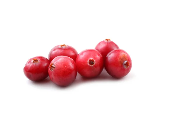 Close Cranberries Azedas Frescas — Fotografia de Stock