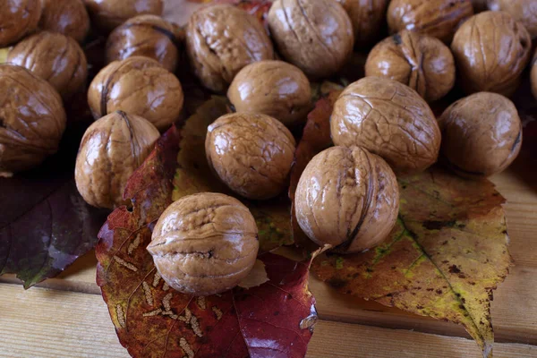 Walnoten Herfstbladeren Tafel — Stockfoto