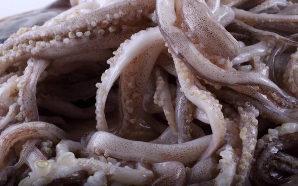 Lulas Tentáculos Fundo Alimentos Para Mar — Fotografia de Stock