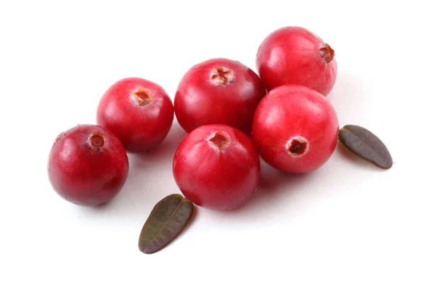 Tutup Dari Cranberry Asam Segar — Stok Foto