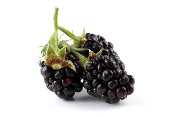 白色背景的黑莓 — 图库照片