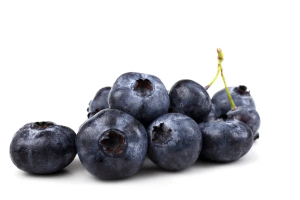 在白色上隔绝的新鲜蓝莓收获的特写 — 图库照片