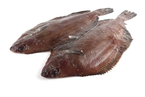 Flathead Sole Hippoglossoides Elassodon Isolato Bianco — Foto Stock