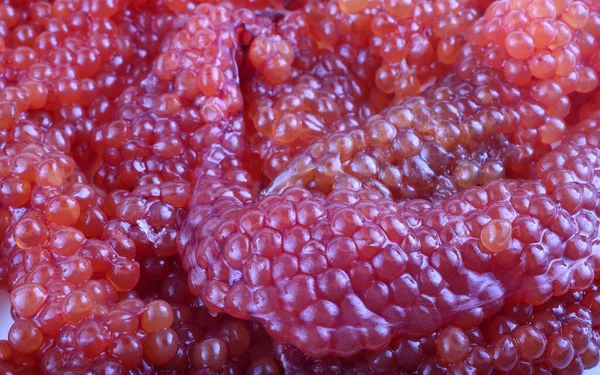 Fundo Caviar Vermelho Não Cozido — Fotografia de Stock