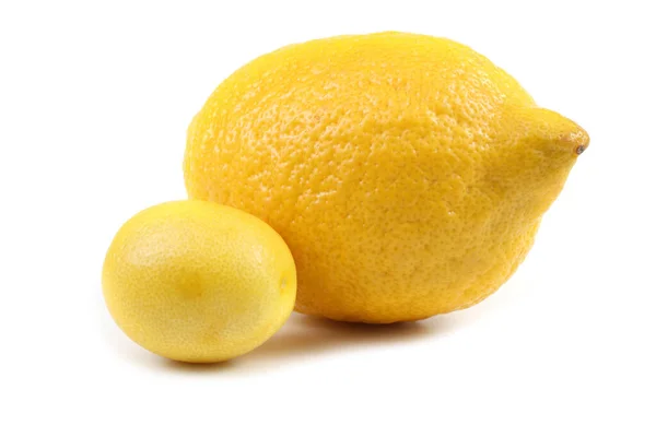 Λεμόνι Limonella — Φωτογραφία Αρχείου