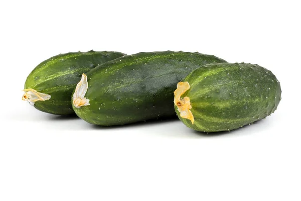 Cucumbers White Background — Stock Photo, Image