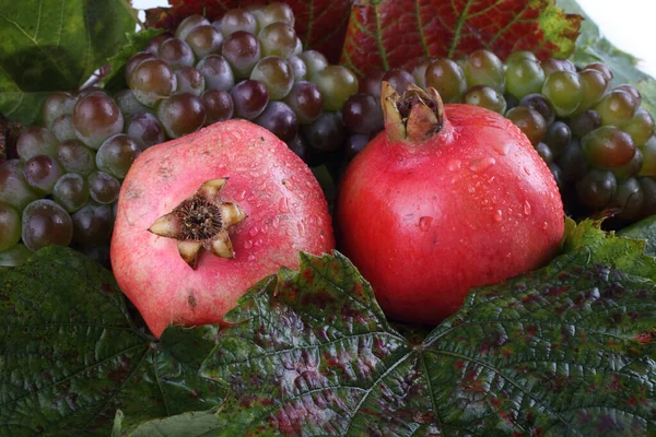 Tros Verse Druiven Herfstbladeren Geïsoleerd Wit — Stockfoto