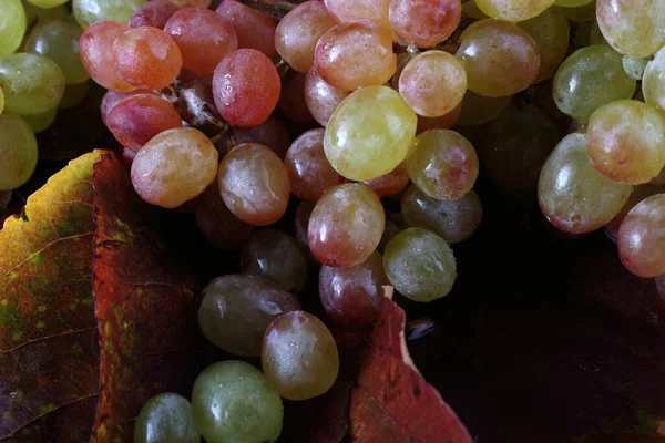 秋叶上的葡萄 — 图库照片
