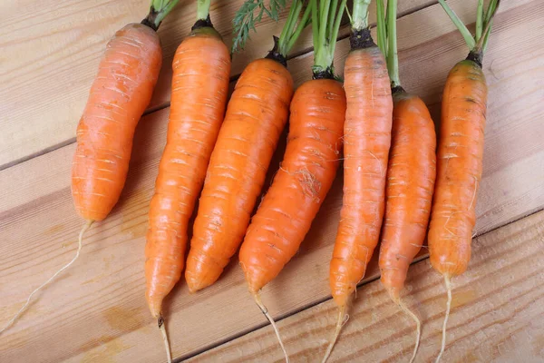 Primer Plano Zanahorias Frescas Maduras — Foto de Stock