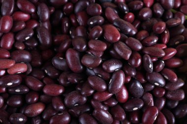 Taze fasulye yakın çekim