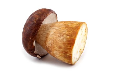 Kral Bolete beyaz mantarlar üzerinde izole