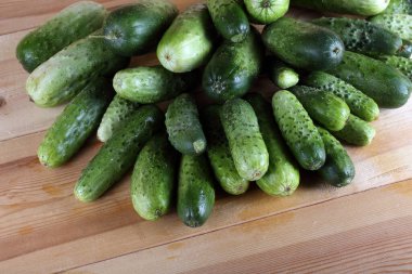 Salatalıklar masaya. Ülke biçimi