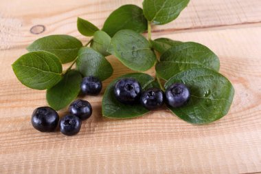 Organik taze yaban mersinlerini kapatın.