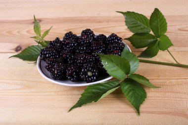 Taze böğürtlen hasadını kapat