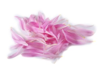 Şakayık yaprakları beyaz üzerine izole