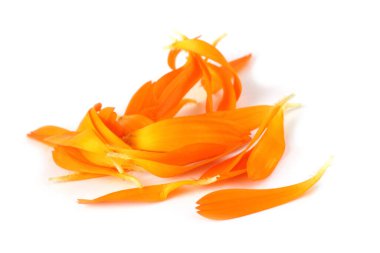 Takvim yaprakları beyaza izole edilmiş