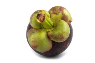 Mangosteen beyaz üzerine izole