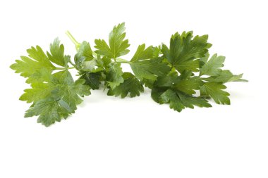 Beyaz arkaplanda izole edilmiş bir maydanoz demeti