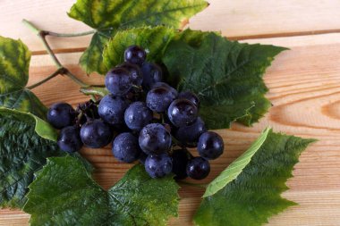 Masada siyah şarap üzümü