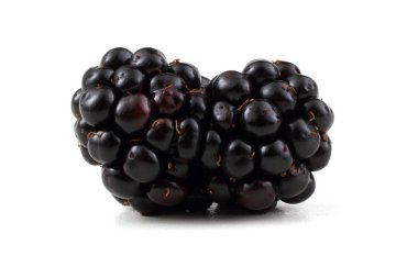 Taze böğürtlen. Kapat..