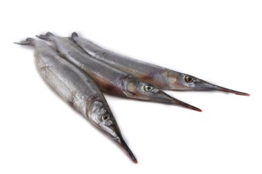 Garfish beyazda izole edilmiş.