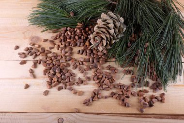 Sedir çam fıstığı masada.