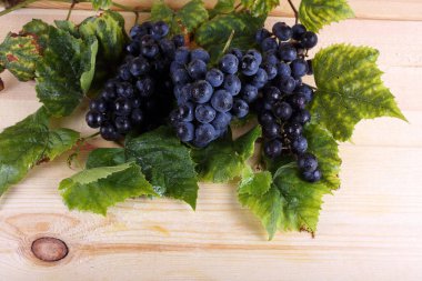 Masada siyah şarap üzümü